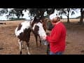 CamLocker Video 5